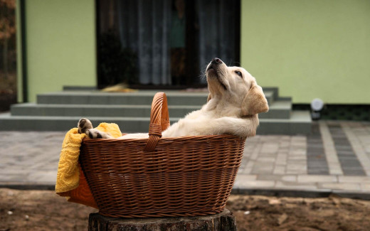 1755907 (a): :1920x1200